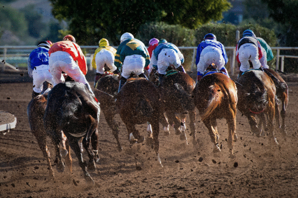 High Stakes Racing High Stakes, High Standards: Alberta Horse Racing Licensing